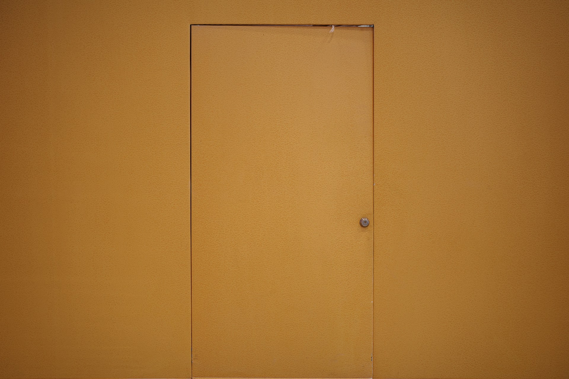 Invisible door
