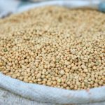 manfaat kacang kedelai