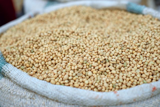 manfaat kacang kedelai
