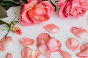 tips memanfaatkan mawar